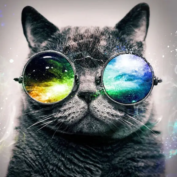 Rudransh Singh Rajput